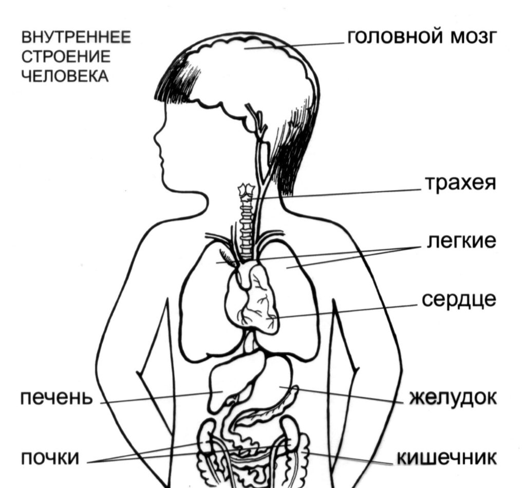 Нелады в человеческих шарнирах